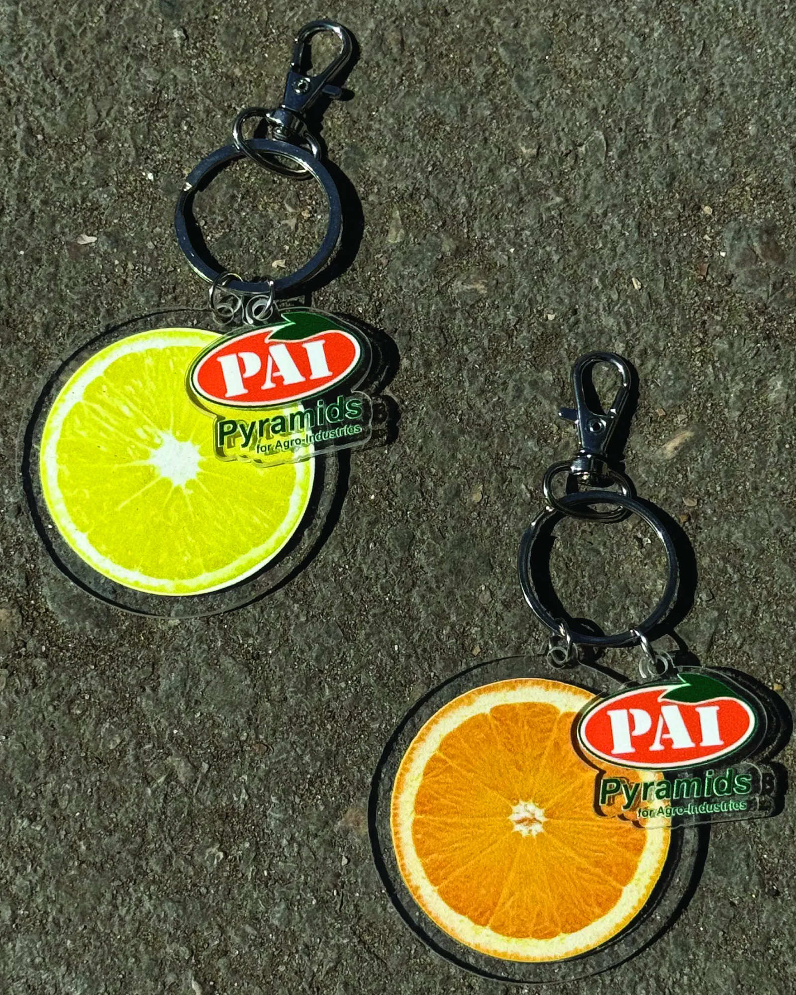 Printed Acrylic Keychains